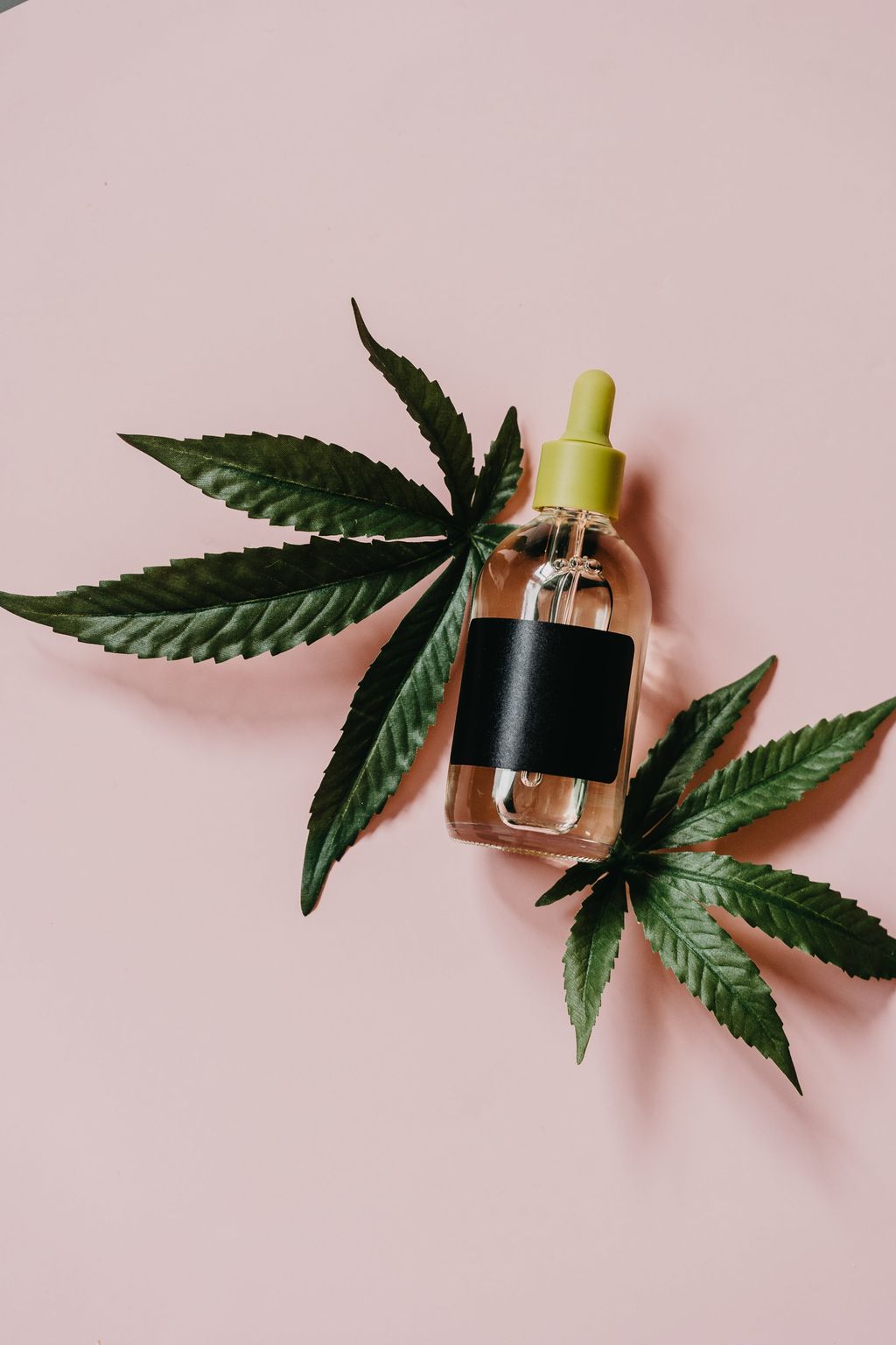 CBD Oil Businesses: Payment Processing Merchants to Consider